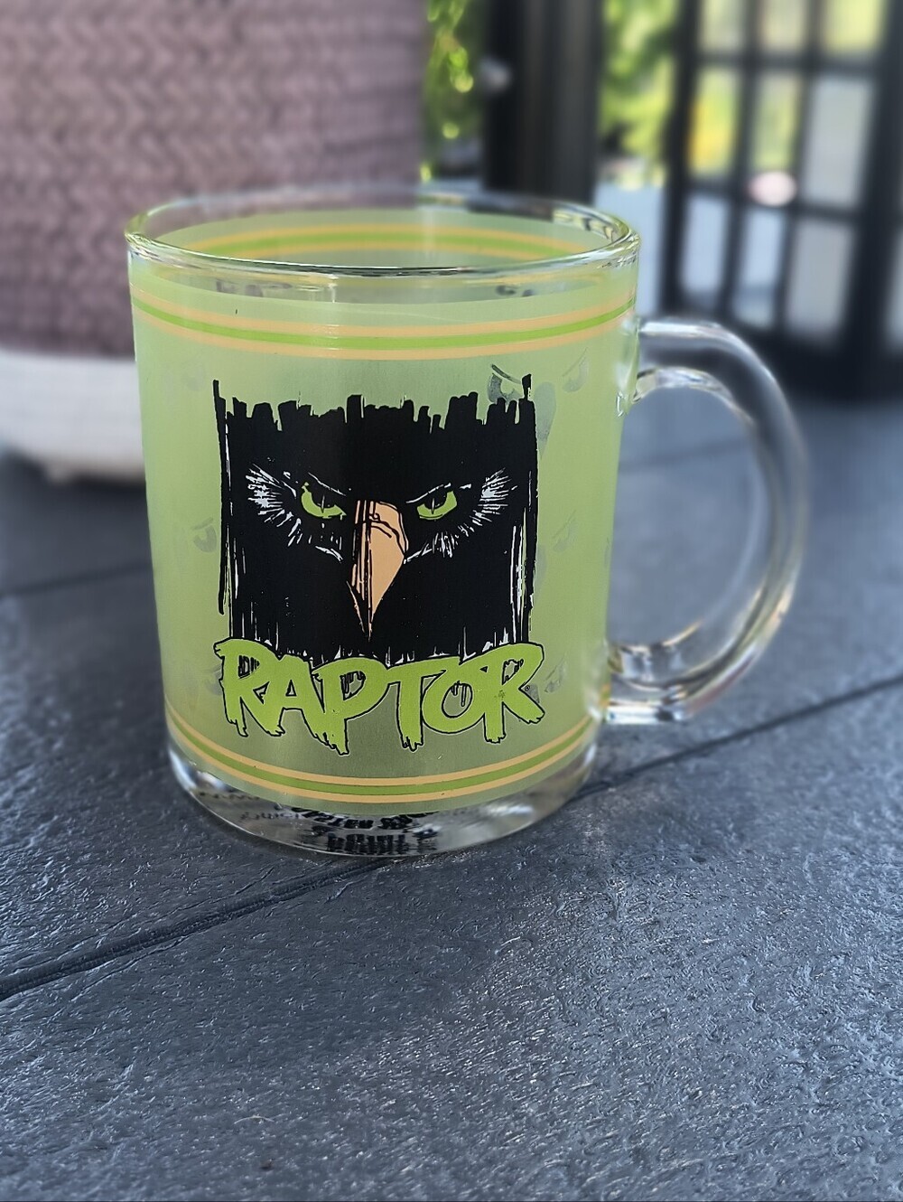 Vintage Green Cedar Point RAPTOR MUG Souvenir Amusement park roller coaster